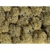 LICHEN , STONE GRAY , 35 GR - NOCH 08600